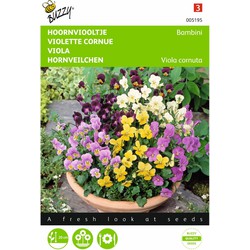 2 stuks - Viola cornuta Bambini Gemengd