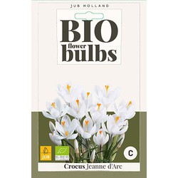 3 stuks - Crocus Jeanne d'Arc 8 bollen