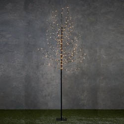 Luca Lighting Boom met verlichting - H200 cm - 248 led lampjes - Zwart