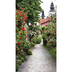 Alley Roses 70x130cm Tuinschilderij