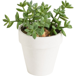 Kunstpot vetplant crassula groen H15