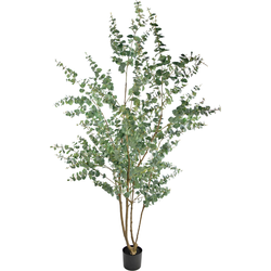 Hoyz Greenery - Kunstplant Eucalyptus 240 cm