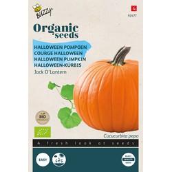 Organic Pompoen Jack O'Lantern (BIO) - Buzzy