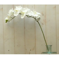 Künstliche Schmetterlingsorchidee groß auf Stecker weiß - Warentuin Mix