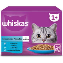 Whiskas pouch junior gelei vis sele