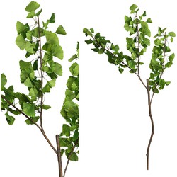 PTMD Leaves Plant Ginkoblad Kunsttak - 93 x 50 x 168 cm - Groen