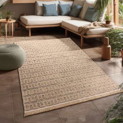 Binnen en Buitenkleed - Vloerkleed Colinna - Beige - 80x150 cm