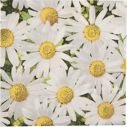 Clayre & Eef Servetten Papier Set van 20 33x33 cm Wit Geel Bloemen
